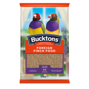 bucktons bird food